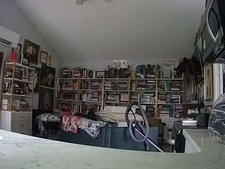 voyeurcam bridgetleewalters 02